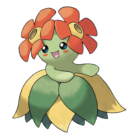 182-joliflor