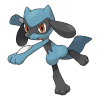 Riolu