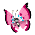 666_Floraison_HOME