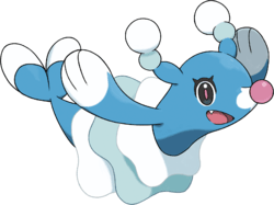 729-Otarlette