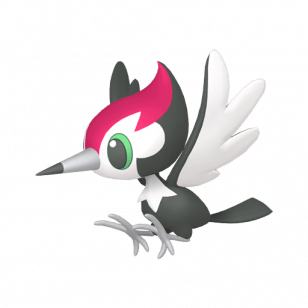 731-Picassaut-shiny