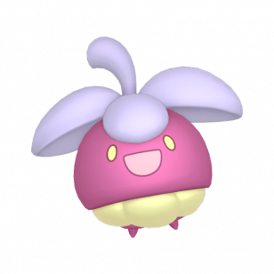 761-Croquine-shiny