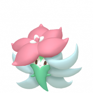 829-Tournicoton-shiny