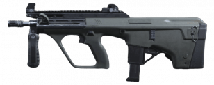 AUG call of duty warzone