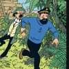 dessin-Anime-les-aventures-de-Tintin