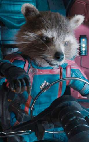 Personnage-fillm-gardiens-de-la-galaxie-3-rocket-raccoon