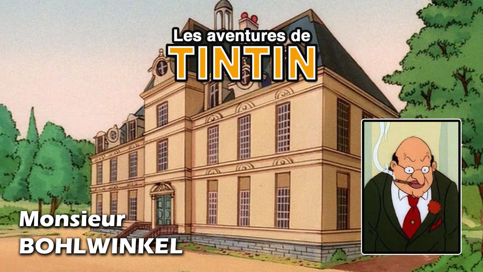 dessin-animé-Tintin-Bohlwinkel