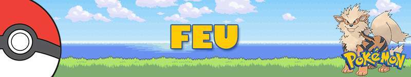 Type-Pokemon-FEU