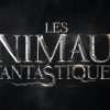 les-animaux-fantastiques