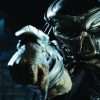 the predator le film